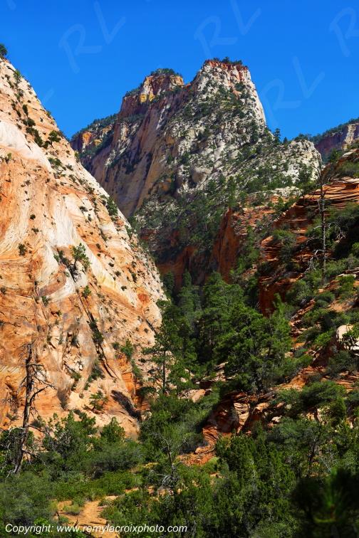 Mount Carmel Highway Zion National Park Utah USA