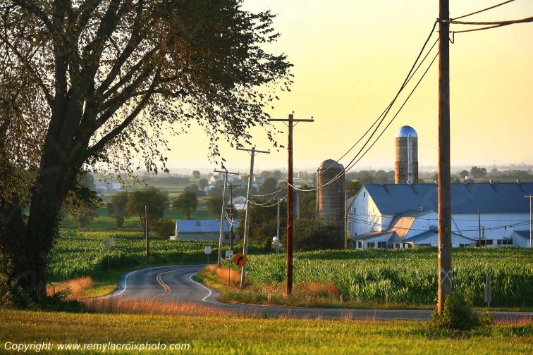 Lancaster Dutch County Amish Buggy Pennsylvania Pennsylvanie USA ww.remylacroixphoto.com