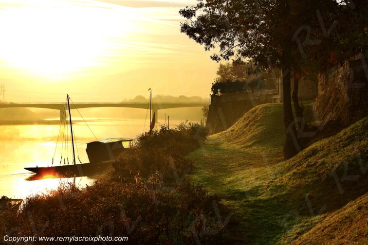 Candes Saint Martin la Vienne Indre et Loire Centre Val de Loire France