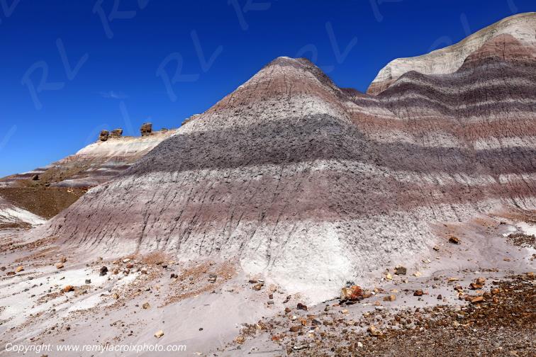 Blue Mesa Petrified Forest National Park Arizona USA