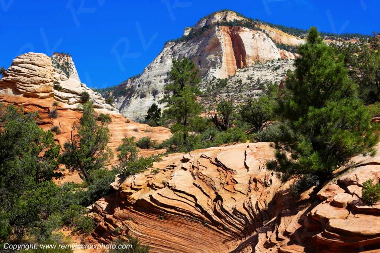 Mount Carmel Highway Zion National Park Utah USA