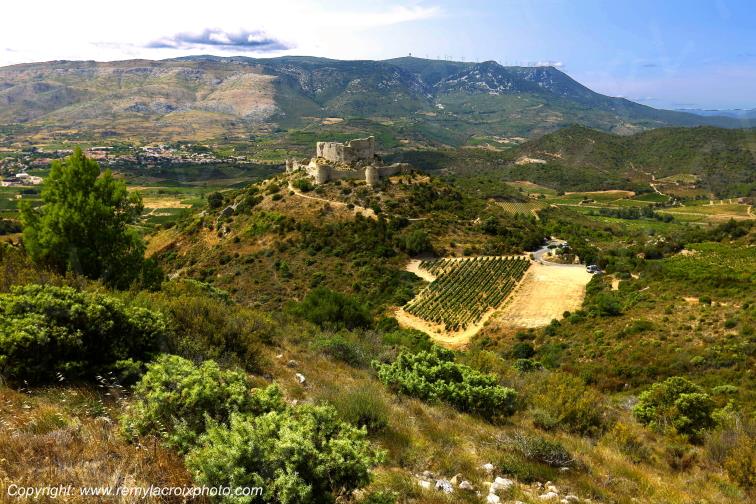 Ch�teau Cathare d'Aguilar vignoble du Haut-Fitou Corbi�res Aude France