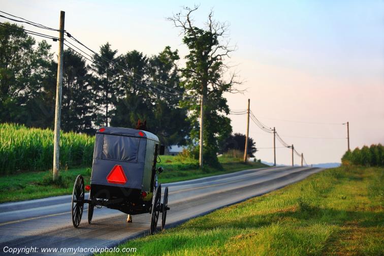 Lancaster Dutch County Amish Buggy Pennsylvania Pennsylvanie USA ww.remylacroixphoto.com