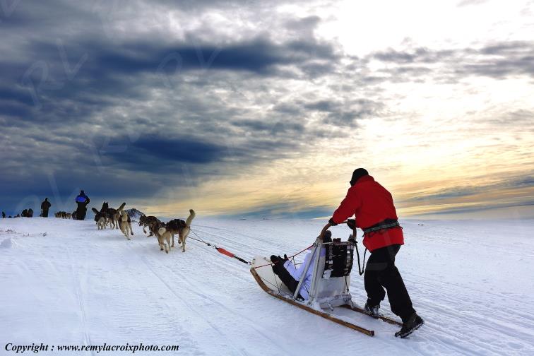 Chastreix-Sancy chiens de traineaux Puy de D�me Auvergne Rh�ne-Alpes France www.remylacroixphoto.com