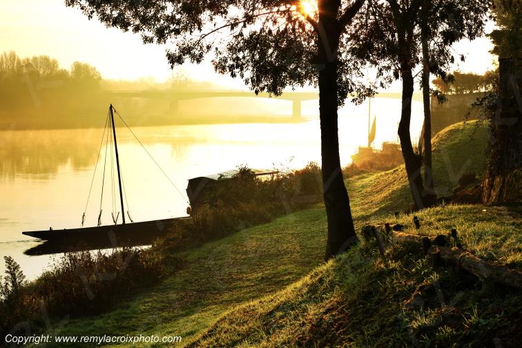 Candes Saint Martin la Vienne Indre et Loire Centre Val de Loire France