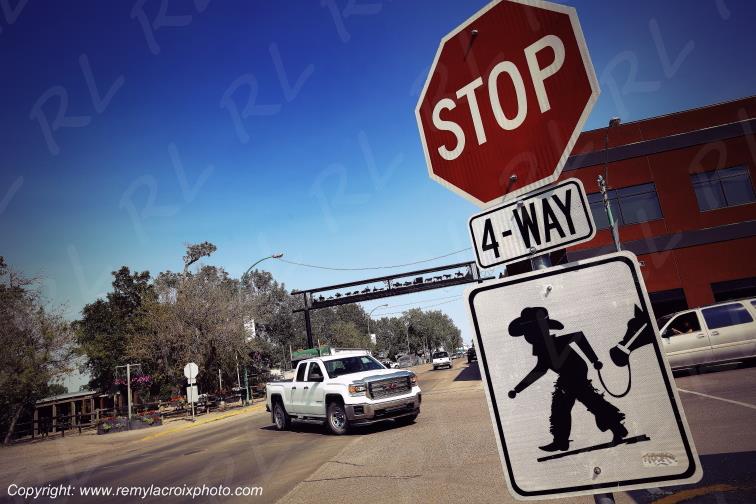 Maple Creek Saskatchewan Great Plains Grandes Plaines Canada www.remylacroixphoto.com