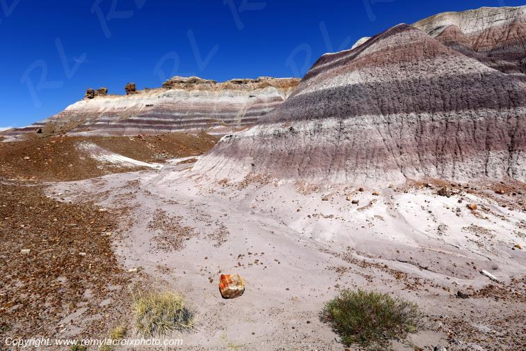 Blue Mesa Petrified Forest National Park Arizona USA