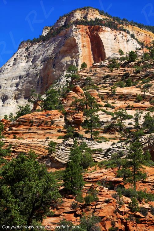 Mount Carmel Highway Zion National Park Utah USA