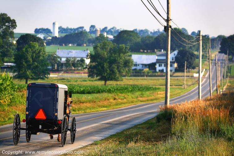 Lancaster Dutch County Amish Buggy Pennsylvania Pennsylvanie USA ww.remylacroixphoto.com