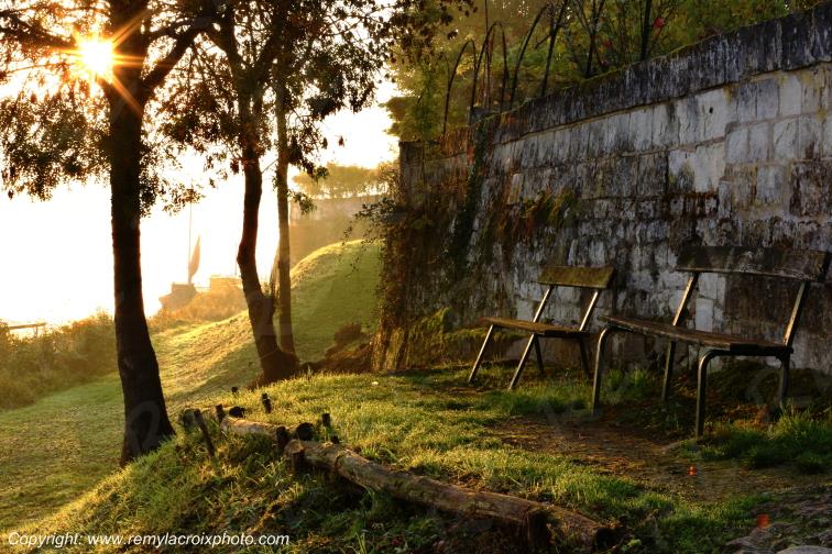 Candes Saint Martin la Vienne Indre et Loire Centre Val de Loire France