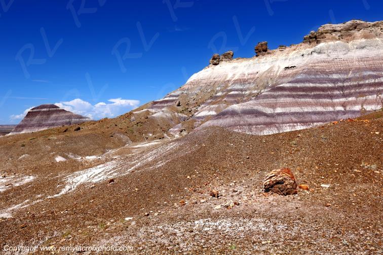 Blue Mesa Petrified Forest National Park Arizona USA