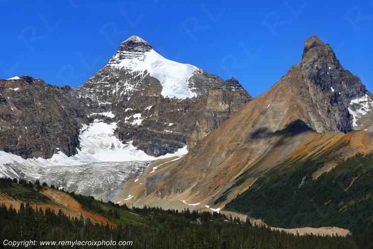 Jasper National Park Promenade des Glaciers Alberta Canada www.remylacroixphoto.com