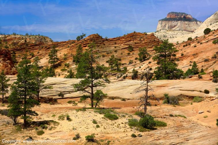 Mount Carmel Highway Zion National Park Utah USA