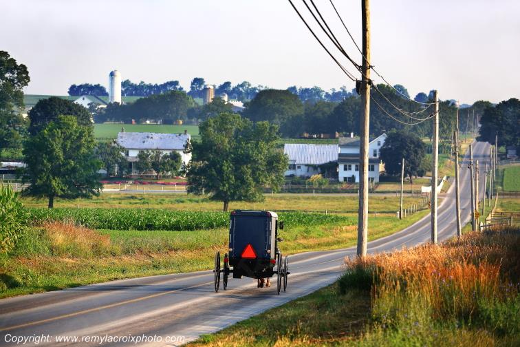 Lancaster Dutch County Amish Buggy Pennsylvania Pennsylvanie USA ww.remylacroixphoto.com