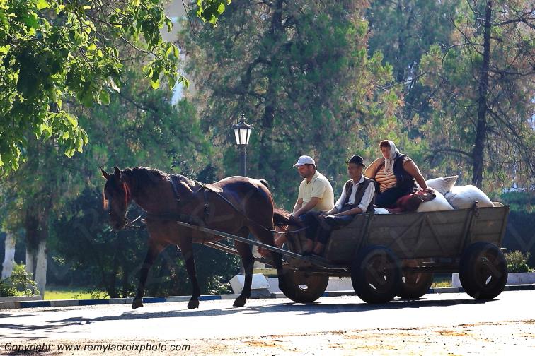 Poiana Mare Valachie Wallachia Roumanie Romania www.remylacroixphoto.com