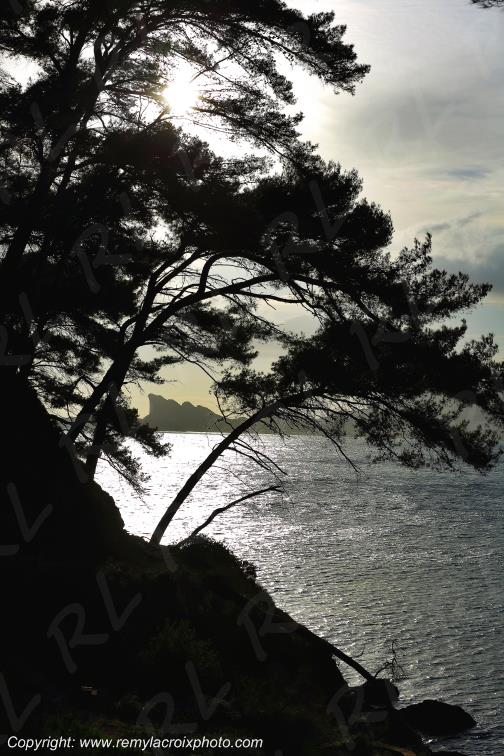 La Madrague Port d'Alon Calanque Var Provence Alpes C�te d'Azur PACA France www.remylacroixphoto.com