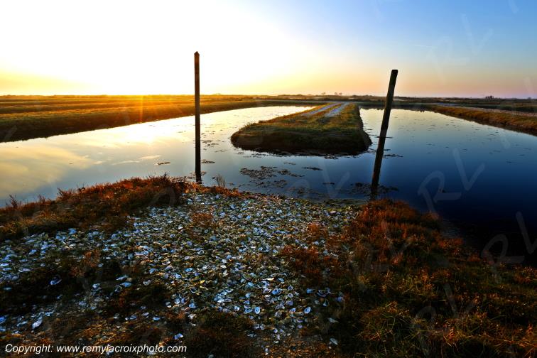Mornac sur Seudre Charente-Maritime France