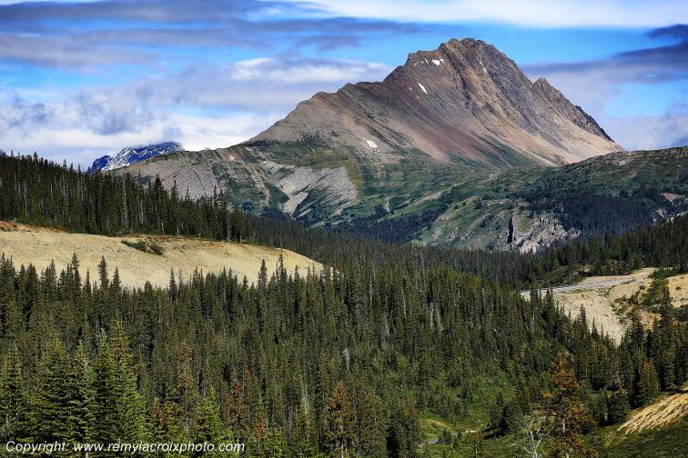 Jasper National Park Promenade des Glaciers Alberta Canada www.remylacroixphoto.com