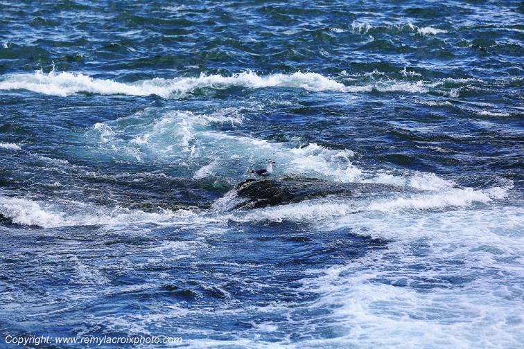 Niagara Falls Ontario Canada www.remylacroixphoto.com