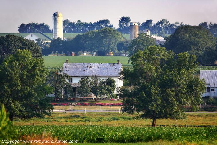Lancaster Dutch County Amish Buggy Pennsylvania Pennsylvanie USA ww.remylacroixphoto.com
