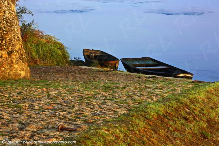 Candes Saint Martin la Vienne Indre et Loire Centre Val de Loire France