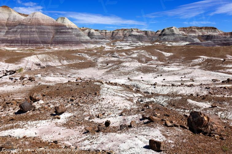 Blue Mesa Petrified Forest National Park Arizona USA