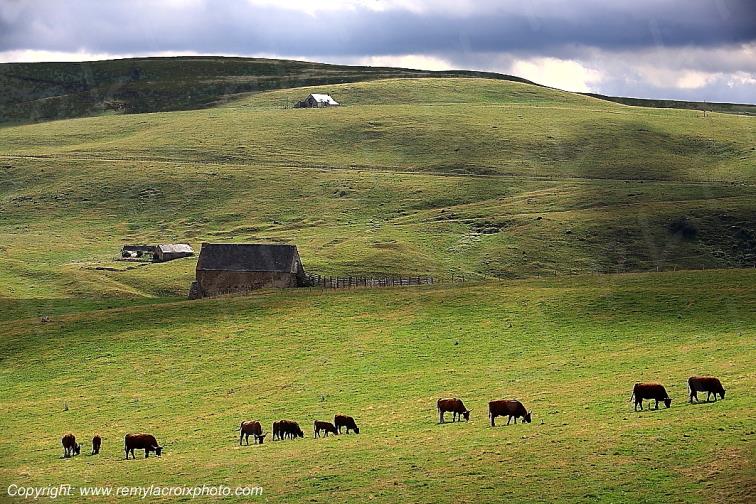 C�zallier La Terrisse Cantal Auvergne Rh�ne-Alpes France