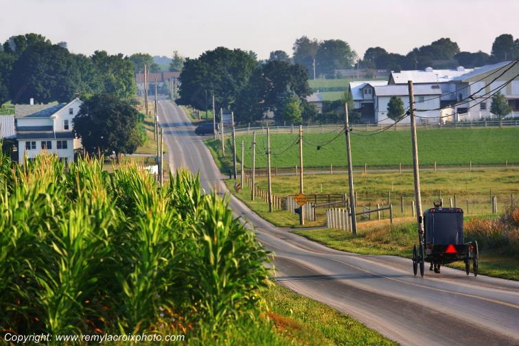 Lancaster Dutch County Amish Buggy Pennsylvania Pennsylvanie USA ww.remylacroixphoto.com