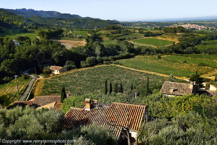S�guret Vignoble Vaucluse Provence Alpes C�te d'Azur PACA France www.remylacroixphoto.com