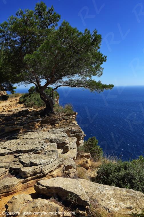 Route des Cr�tes Cap Canaille Bouches du Rh�ne Provence Alpes C�te d'Azur France www.remylacroixphoto.com