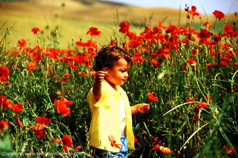 Coquelicots Enfant Loisir Champs Toscane Italie www.remylacroixphoto.com
