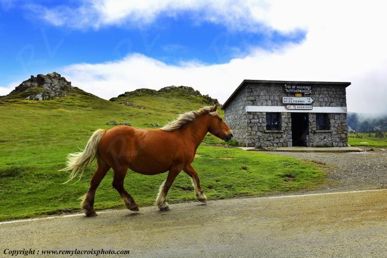 Col de Pailheres Ari�ge Occitanie Midi Pyr�n�es France www.remylacroixphoto.com
