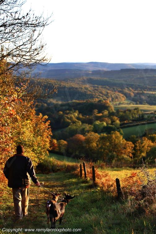 Lormes Morvan Ni�vre Bourgogne Franche Comt� France www.remylacroixphoto.com