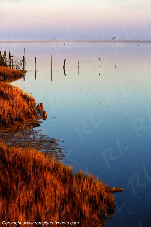Mornac sur Seudre Charente-Maritime France
