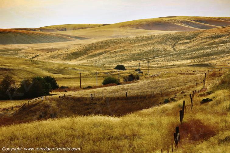 Dayton Washington USA www.remylacroixphoto.com