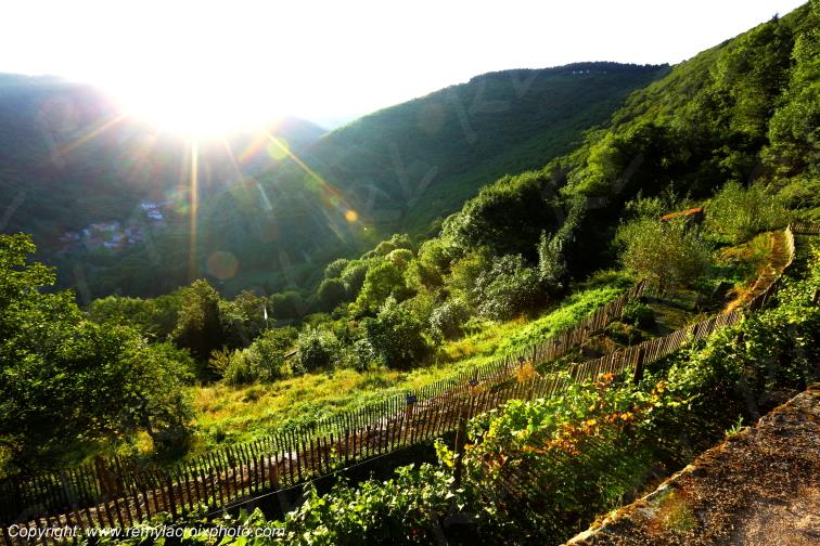 Hautpoul Jardin M�di�val Tarn Occitanie Midi Pyr�n�es France www.remylacroixphoto.com