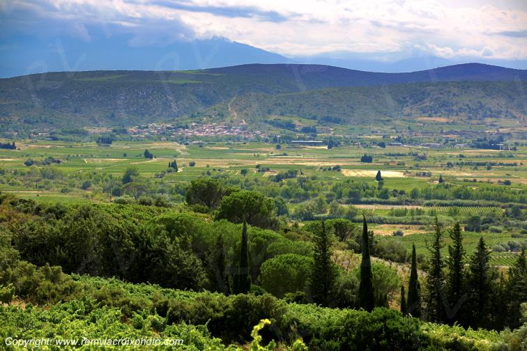 Haut Fitou vignoble Corbi�res Aude Occitanie France www.remylacroixphoto.com