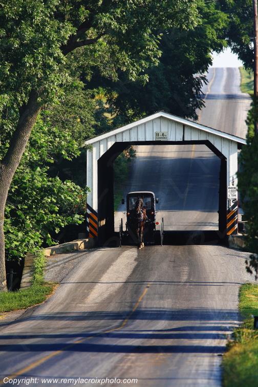 Paradise Bridge Lancaster Dutch County Amish Buggy Pennsylvania Pennsylvanie USA ww.remylacroixphoto.com