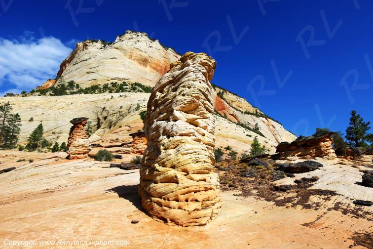 Mount Carmel Highway Zion National Park Utah USA