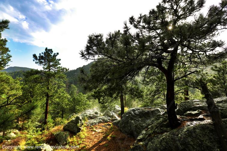 Black Hills South Dakota USA