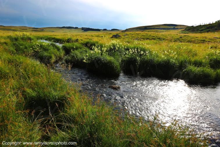 Ruisseau Le Pl�ches Nasbinals Aubrac Loz�re Languedoc-Roussillon Occitanie France www.remylacroixphoto.com