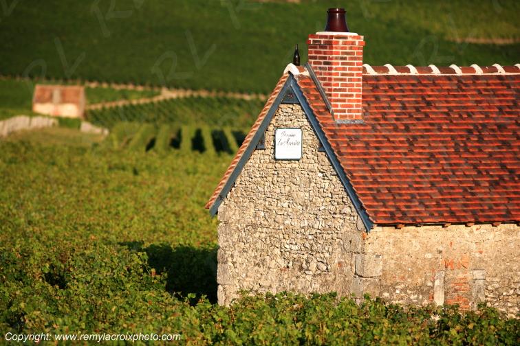 Sancerrois vignoble Cher Berry Centre Val de Loire France