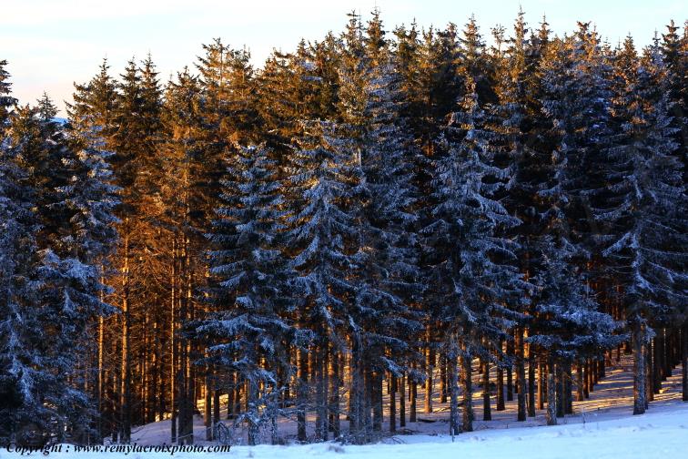 Col de Gu�ry Puy de D�me Auvergne Rh�ne-Alpes France www.remylacroixphoto.com