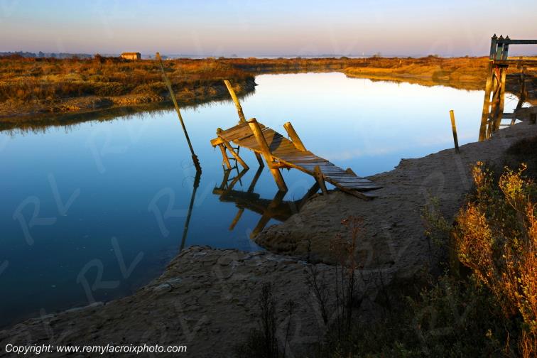Mornac sur Seudre Charente-Maritime France