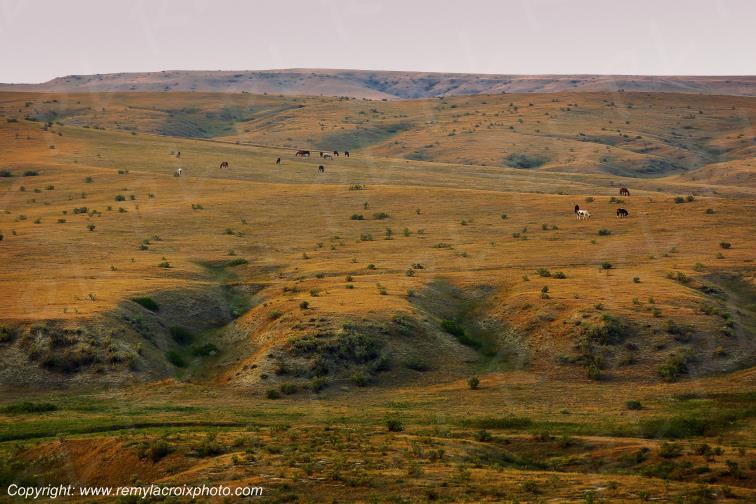 Little Big Horn Custer Battlefield National Monument Montana USA www.remylacroixphoto.com