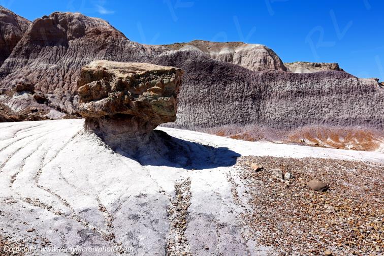 Blue Mesa Petrified Forest National Park Arizona USA