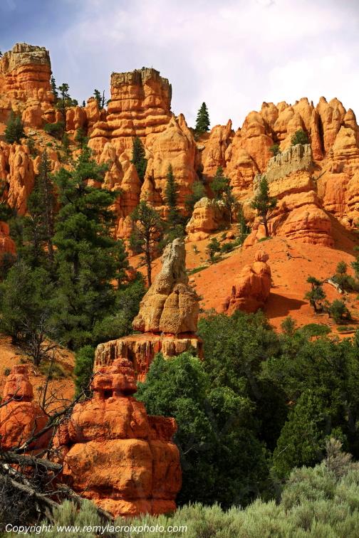 Red Canyon Utah USA www.remylacroixphoto.com