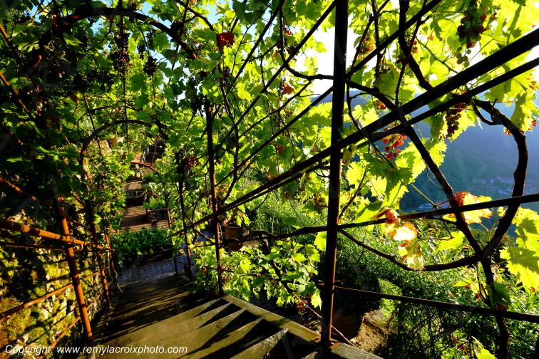 Hautpoul Jardin M�di�val Tarn Occitanie Midi Pyr�n�es France www.remylacroixphoto.com