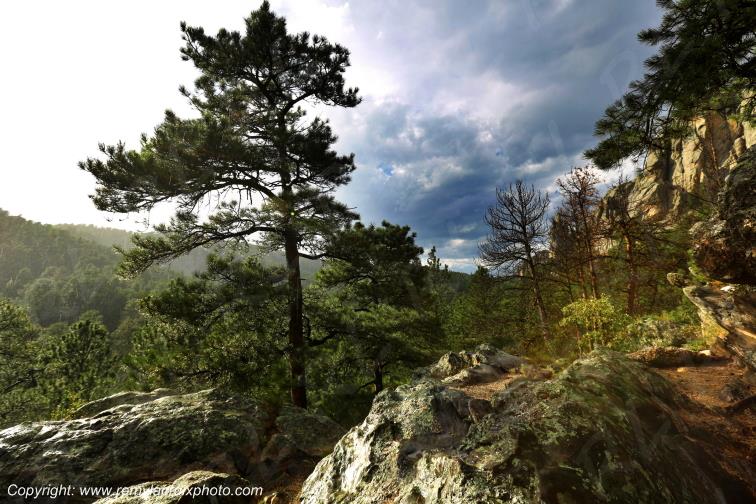 Black Hills South Dakota USA