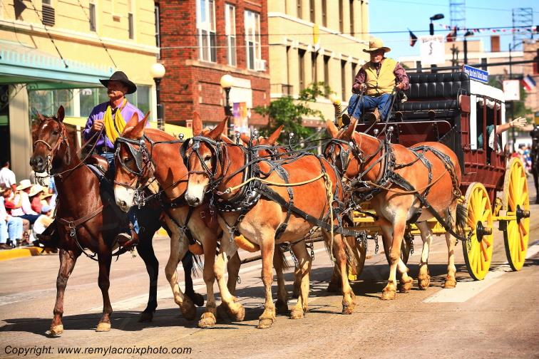 Rodeo Cheyenne Frontier Days Grand Parade Wyoming USA www.remylacroixphoto.com
